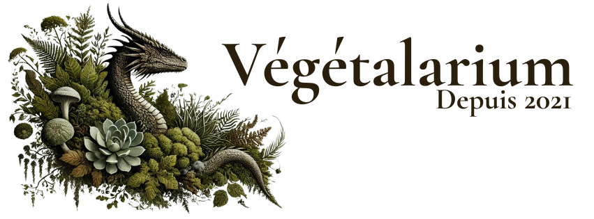 Végétalarium logo with dragon and plants – Since 2021