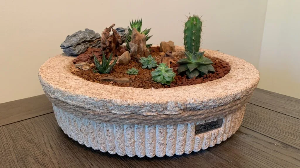 Handmade hypertufa pot with desert-inspired succulent arrangement