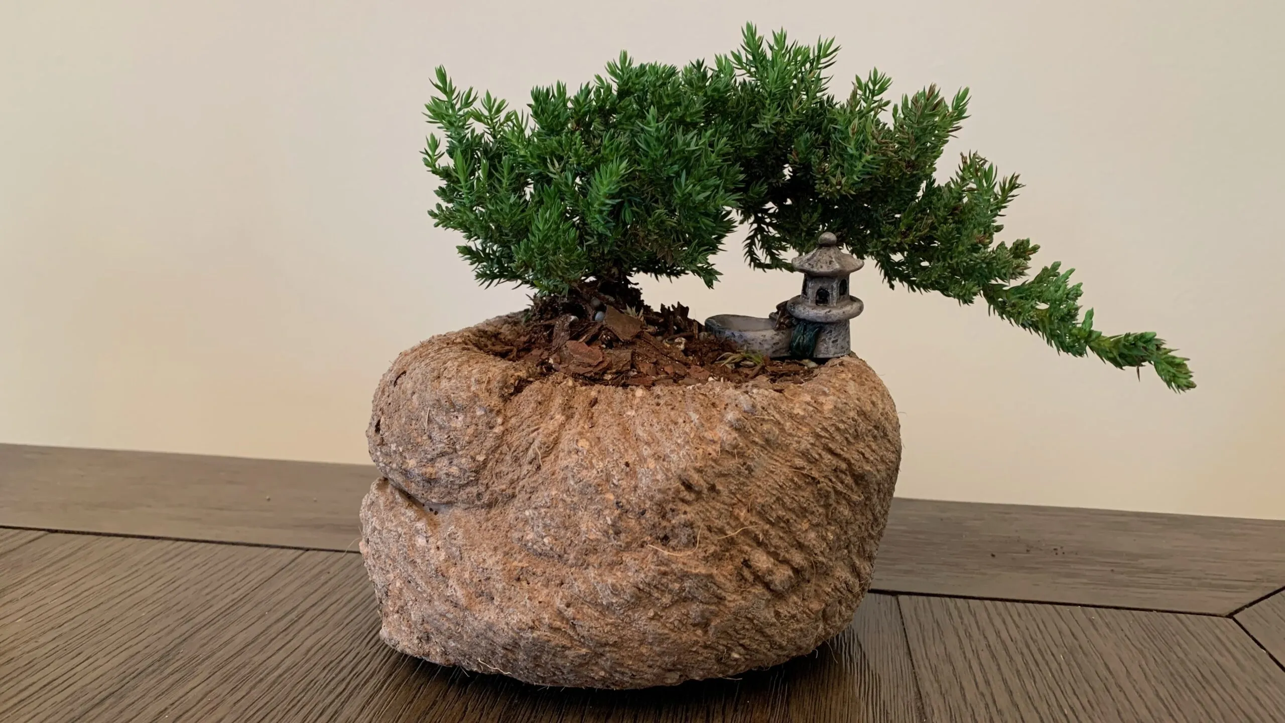 Hypertufa pot with bonsai and lantern, handcrafted and sold to Jacques G