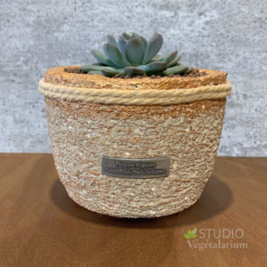 Handcrafted hypertufa pot with textured mineral finish and rope detail, planted with a succulent on a wooden surface.