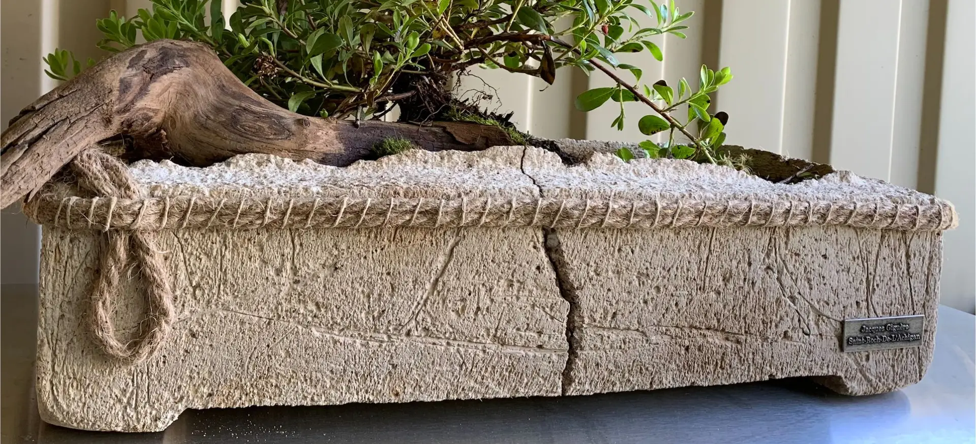 Hero banner for the article “When a Broken Pot Becomes a Garden,” featuring a handmade hypertufa planter with driftwood, bearberry, and a natural crack.